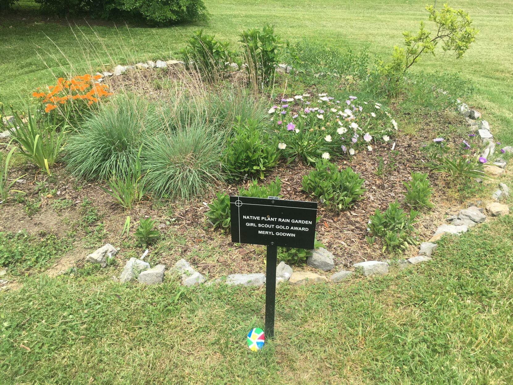 First Presbyterian Church Arboretum rain garden